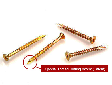 Special Thread Cutting Bullet Screw